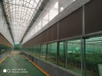 Greenhouse Supporting Accessories Supplier in China Layer Single Size 9984sqm Top High 6.9m Dado High 0.6m Trademark - Shandong Sinok Agriculture Technology Co., Ltd. - China