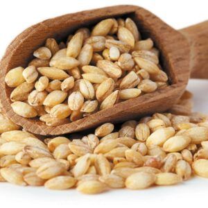 Barley Organic Pearl Barley Grains Exporters High Quality Organic Barley Product For Sales - FK GLOBAL TRADING - Netherlands