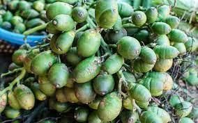 Betel Nuts wholesale from AgronoMarket Betel Nuts wholesale - AgronoMarket - United States
