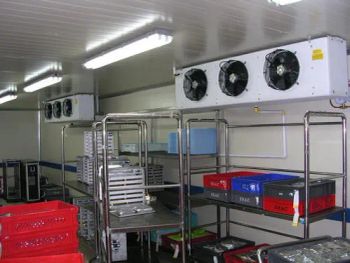 Cold Room/Cold Storage Freezer Room for Meat Fish Vegetable Condition New Origin Shangdong Trademark SDEITEC Warranty 1-2 - Shandong Excellent Intelligent Technology Co., Ltd. - China