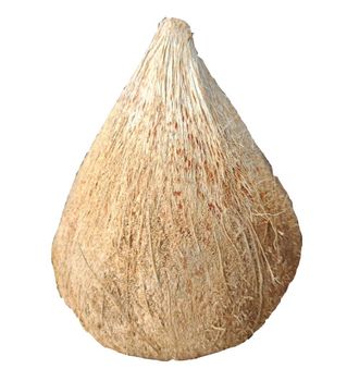 Semi husk mature coconut - HAO QUANG COCONUT ONE MEMBER COMPANY LIMITED - Vietnam