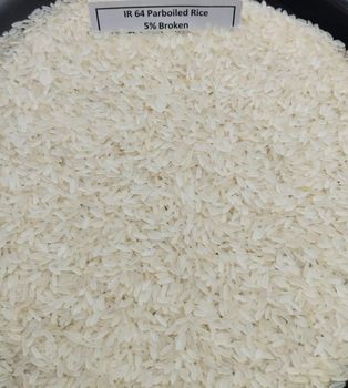 IR 64 Sella Rice from Alija Organics Foods Pvt Ltd IR 64 Sella Rice - Alija Organics Foods Pvt Ltd - India