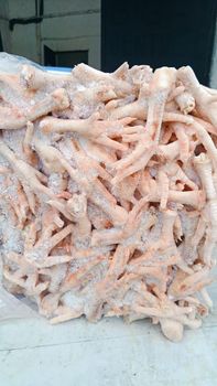 Grade A Halal :Frozen Chicken Feet, Frozen Chicken pews, Frozen Chicken Tails, Frozen Chicken wings,Mixed Chicken Thighs - Eurl HAYATI Import-Export - Algeria