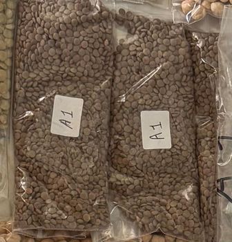 Red Lentil Whole (Grade 2) - Niju & Kavu - Canada