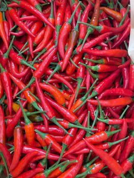Red hot chili peppers from Vietnam, size 3–7 cm. - Mantis Agro Company Limited - Vietnam