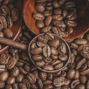 Best Cheap Arabica Roasted Coffee Beans Roasted Robusta Coffee Bean For Sale Top Quality Roasted Robusta - AGRONOVA - United States