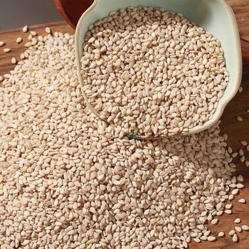 QUALITY SESAME SEEDS FROM TANZANIA - AL JABLI TRADING COMPANY LIMITED - Tanzania