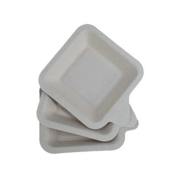 Sugarcane Bagasse Flower Plates Disposable Plates Food Tray Bagass Sushi Tray - Lt Packaging Co., Ltd. - China