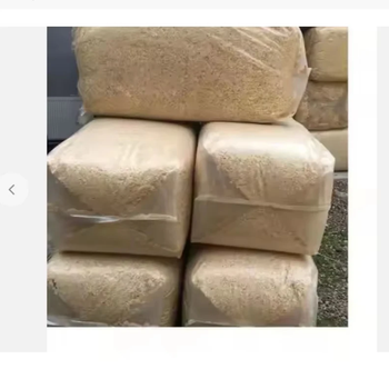Best Quality Cheap Wood Shavings Wood Shavings/wood Sawdust/agricultural Waste for Sale - FK GLOBAL TRADING - Netherlands