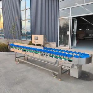 Stainless Steel Fruit Roller Sorting Machine - Luohe Golden Shell Mechanical Equipment Co., Ltd - China