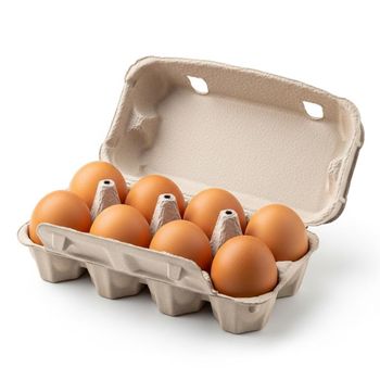 Fresh Table Chicken Eggs With Clean Surface And Freshness Chicken Eggs Supporting Strong Market Demand Worldwide - THE GREEN INTERNATIONAL LIMITED - Tanzania