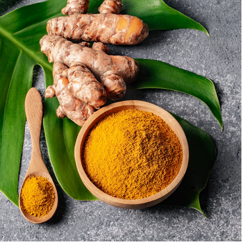 Turmeric Powder - Fortune EXIM & General Tradings - United Arab Emirates