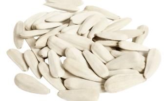 White sunflower seeds from SULTAN AGRO IMPEKS White sunflower seeds - SULTAN AGRO IMPEKS - Uzbekistan