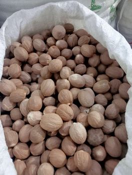 Nutmeg Grade AB - PT Vena Loka Cakrawala - Indonesia