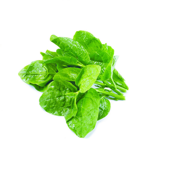 Fresh organic vegetable malabar spinach Style Fresh Color Green Type vegetables Packaging 5kg / carton Cultivation Type - MEKONG HERBALS CORPORATION - Vietnam