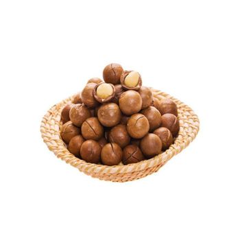 Wholesale Macadamia nuts bulk supply affordable price fresh high quality from Starmark Company Limited Wholesale Macadamia nuts bulk supply affordable price fresh high quality - Starmark Company Limited - Tanzania