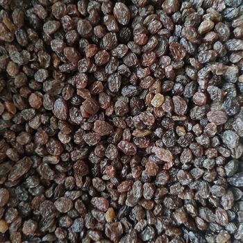 Raisins – product photo, Dried Fruit Mixture products found from trusted suppliers, wholesalers, manufacturers & exporters Listing