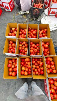 Pomegranate from ROYAL AAMVED ORGANIC Pomegranate - ROYAL AAMVED ORGANIC - India