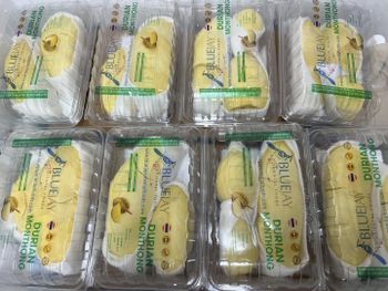 Peeled Durian Monthong Flavor Rich Packaging 500g Texture Creamy Type Monthong Grade A Place of Origin Thailand Harvest Condition At Peak Ripeness - Blue Jay Oriental Foods Thailand Ltd - United Kingdom
