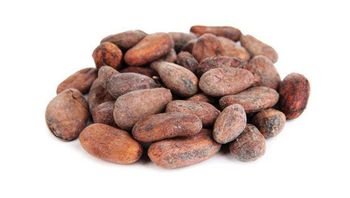 DRY COCOA BEANS from AGRO AFRIQUE COMPANY LIMITED DRY COCOA BEANS - AGRO AFRIQUE COMPANY LIMITED - Tanzania