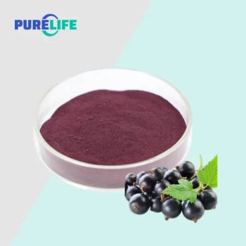 High Quality Food Grade Pure Natural Freeze Dried Blackcurrant Juice Powder - Purelife Biotech Co., Ltd. - China