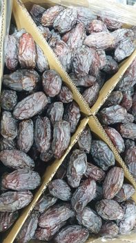 Medjool Dates - Palestine Dates - Palestinian Territory, Occupied