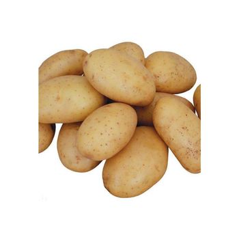 Good vegetable fresh potato export wholesale price - Mundus Exports Pty Ltd - South Africa