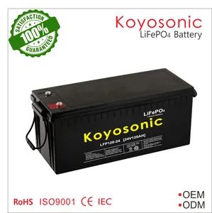 LiFePO4 Phosphate 24V 120ah Lithium Iron Battery Pack with BMS for Backup Power Supply - Koyosonic Power Co., Ltd. - China
