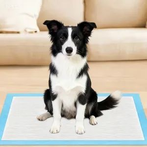 Small Animal Pads Pet Products Wholesale Disposable Good Quality Pet Pads - Guangdong Lechen Sanitary Products Co., Ltd. - China