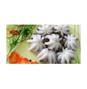 Frozen Seasoned Baby Octopus Octopus Fresh Frozen Baby Octopus For Sale - Exigentelaxia Unipessoal Lda - Portugal