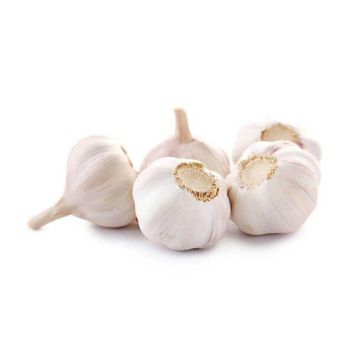 Fresh garlic bulbs with strong aroma and rich natural flavor for cooking Premium quality fresh garlic for export and international food markets Natural fresh garlic harvested and packed under hygienic conditions High grade fresh garlic with long shelf life and firm cloves - SATTER FOOD AND BEVERAGE - Netherlands