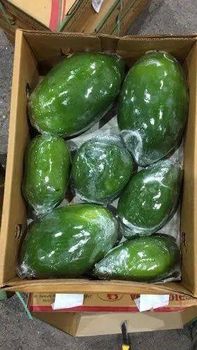 papaya Quality Grade Tanin Papaya Origin SRI Lanka, Sri Lanka - Cocodelight - Sri Lanka