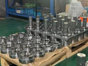 Customizable Auger Gear Box with Two Step Mechanism and Stainless Steel - NINGBO AOGE MACHINERY CO., LTD. - China