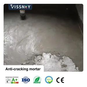 Vissney Innovative Anti Crack Mortar for Versatile Applications in Modern Building Renovation Projects - Foshan Shunde Chaoran Building Materials Industry Co., Ltd. - China