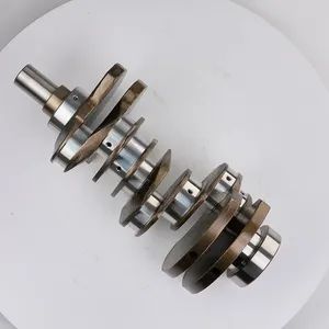 Crankshafts for Land Rover Tdv6 3.0 306dt V6 Flr038168 Diesel Discovery Lr4 - Guiyang Baiyun Alloy Casting Factory - China