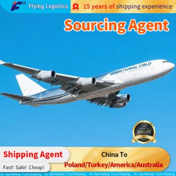 Fast Sea Shipping Service Freight Forwarder Agent China to Poland Turkey America Australia DDP Customs Clearance npwSpm - Shenzhen Flying Supply Chain Co., Ltd. - China