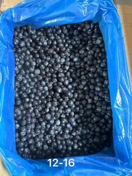 Frozen IQF blueberry Best Organic Wild Blueberry Bulk Flash Freezing Fresh Picked Blueberries Compliments - Shandong Guohai Imports and exports Co., ltd - China