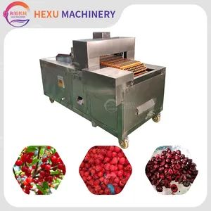 Automated Cherry Pitter Large Capacity Cherry Pitting Machine Fruit Pitting Machine Cherry Stone Remover Machine Cherry Pitter Cutting Machine - Zhaoqing Hexu Machinery Co., Ltd. - China