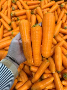 Premium Fresh Carrots – Naturally Sweet & Crunchy - DAI VIET INTERNATIONAL IMPORT EXPORT COMPANY LIMITED - Vietnam