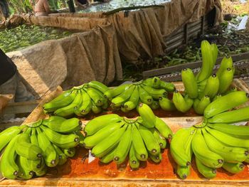 Premium Fresh Green Bananas – Sourced from Dong Nai, Viet Nam - DAI VIET INTERNATIONAL IMPORT EXPORT COMPANY LIMITED - Vietnam