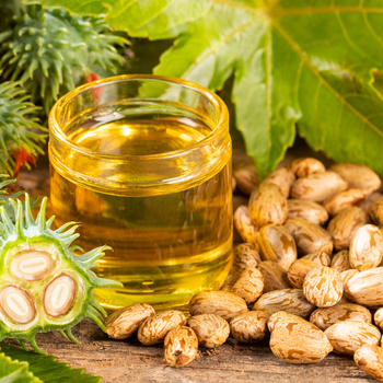 Buy castor oil online at a competitive price for skincare/Discover where to purchase organic castor oil in bulk/Learn how to place an order for castor oil easily/Find cheap castor oil options for industrial and cosmetic use/Buy castor oil with assured quality at a competitive price/Order castor oil for multiple uses, from beauty to biofuels - Klapec sp. z o.o. - Poland