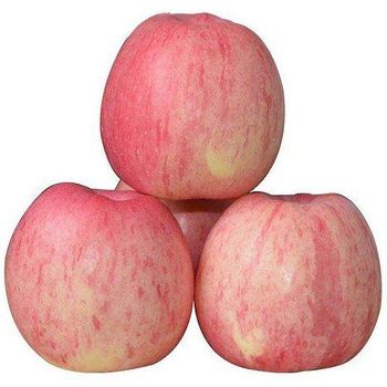 New crop Fresh Apple for Sale Fuji Apple - MFD AGRICULTURE LTD - United Kingdom