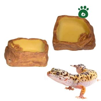 Multi-Size Resin Reptile Food & Water Bowl - Lizard/Gecko/Small Snake Feeding Dish (Eco-Friendly, In-Stock) - Rizhao Spring Trading Co., Ltd. - China
