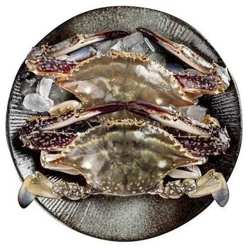 Wholesale Frozen Bulk Seafood Fresh Blue Crab Swimming Crab Whole - Fujian Miaotianhui Food Co., Ltd. - China
