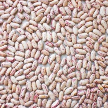 White red speckled Sugar Beans - GrainLink Commodities - Botswana