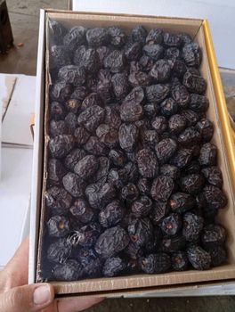 Premium Quality Kalmi Dates Madjool for sale - BF GLOBAL TRADING (PTY) LTD - South Africa