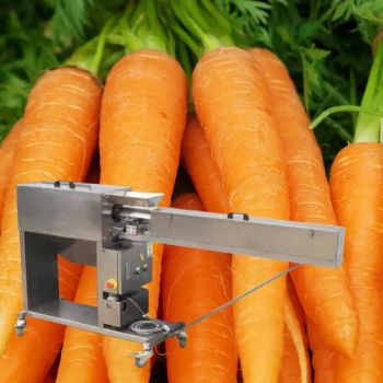 High Efficiency White Radish Peeling Machine Carrot Peeler and Cutter Machine Yam Skin Removing Machine - Henan Wealth Machinery Co., Ltd - China