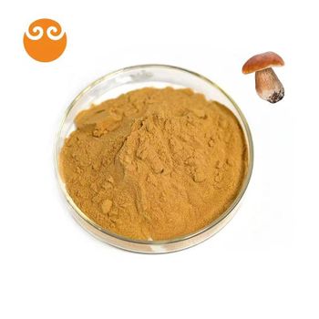 High Quality Natural Organic Boletus Edulis Porcini Mushroom Extract Powder Safe Supplement Polysaccharide 30% - Zhejiang Tianquan Biotechnology Co., Ltd. - China