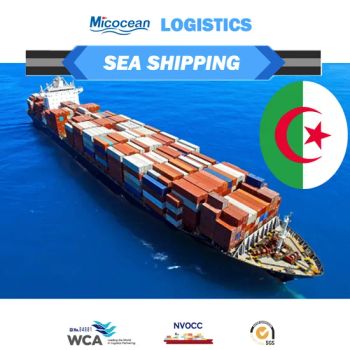 Professional Sea Freight Agent Shipping From China to Algiers Oran for General Goods and Dg Like Battery and Liquid Bike and So on - Micocean Int'l Logistics (Shenzhen) Co., Ltd. - China