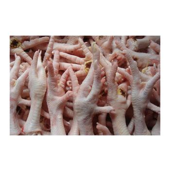Cheap Wholesale Top Quality Halal Frozen Chicken Feet | Frozen Chicken Paws In Bulk - N.G westen holding B.V - Netherlands